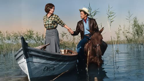 İnatçı Gelin Bild 3