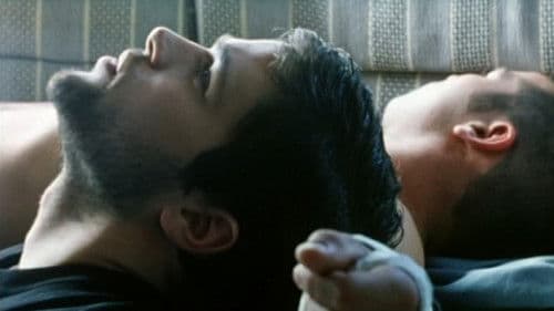 Embrasser les tigres Bild 1