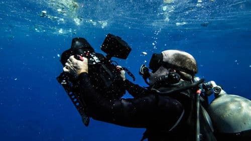 A Plastic Ocean Bild 7