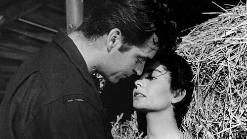 Eine Kugel wartet Bild 2