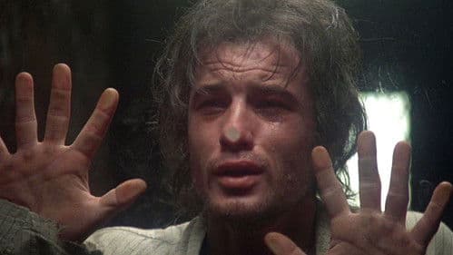 12 Uhr nachts - Midnight Express Bild 5