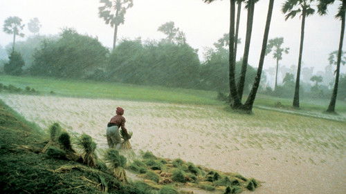 អ្នកស្រែ Bild 1