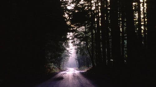 ツイン・ピークス・ビジュアル・サウンドトラック Bild 4