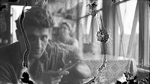 Крихка пам‘ять Bild 1