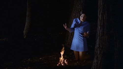 Mark of the Witch Bild 1