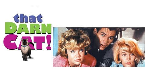 Alles für die Katz Bild 3