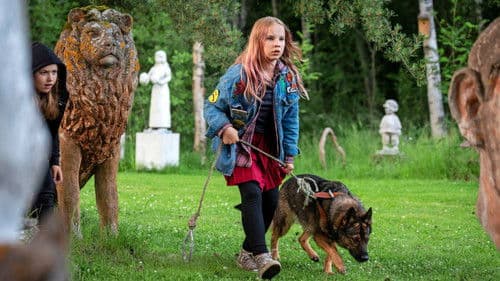 Susikoira Roi Bild 2