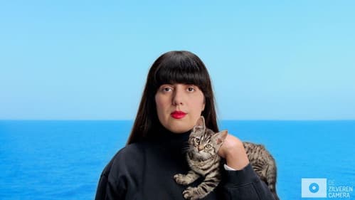 Kitten of vluchteling? Bild 4