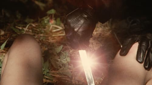 Das Geheimnis der grünen Stecknadel Bild 2