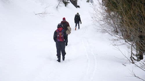 The Milky Way Bild 1