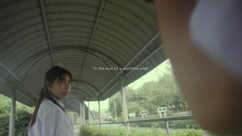 Twigs and Gum Bild 3