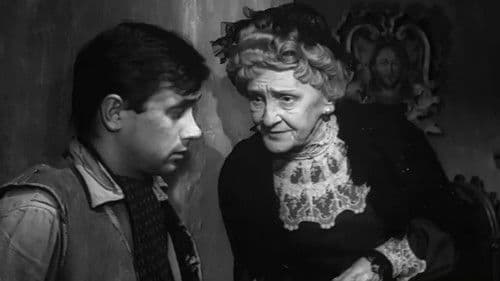 Zwariowana noc Bild 4