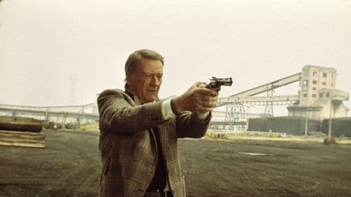 Brannigan - Ein Mann aus Stahl Bild 8