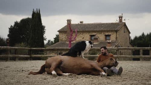 Hermano caballo Bild 1