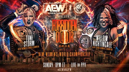 AEW x NJPW Present Forbidden Door 2023 Bild 8