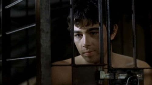 Der Kuss des Bären Bild 2