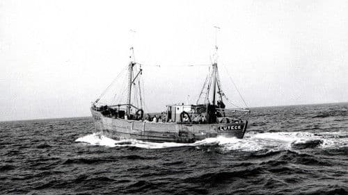 TKX antwortet nicht Bild 4