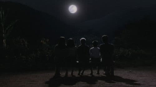 Rhapsodie im August Bild 2