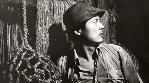 Die Frau in den Dünen Bild 6