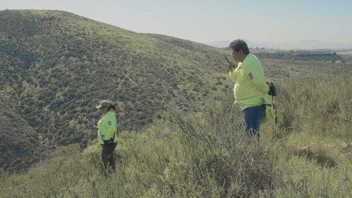 Spare My Bones, Coyote! Bild 1