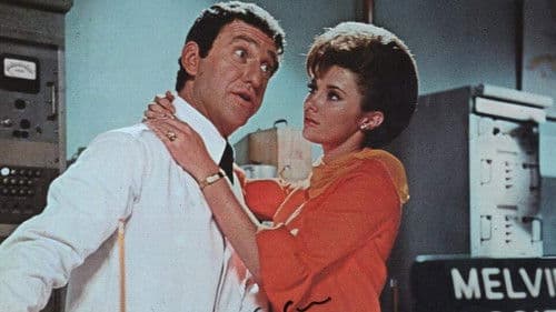 Mr. Bird geht in die Luft Bild 1