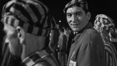 Der Boxer und der Tod Bild 3