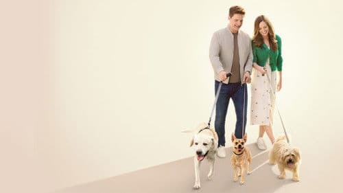 The More Love Grows Bild 1