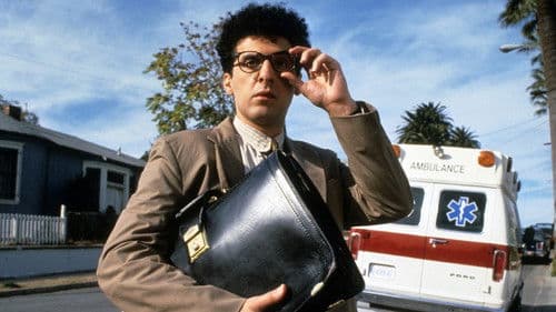 Drei lahme Enten Bild 4