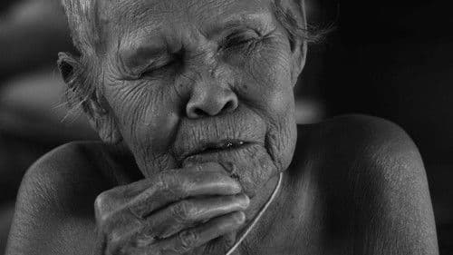 วังพิกุล Bild 1