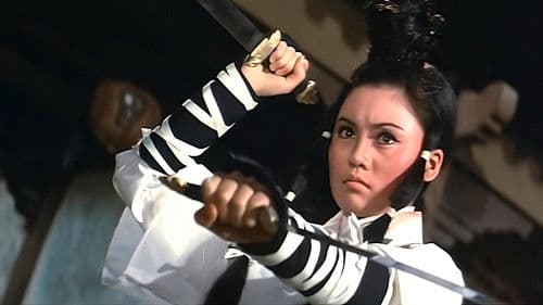 武林龍虎鬥 Bild 1