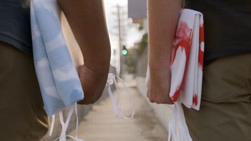 YOU WILL NOT REPLACE US Bild 1