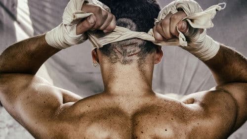 Nene revancha Bild 3