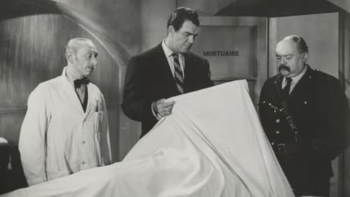 Mit 1000 Volt in den Tod Bild 1