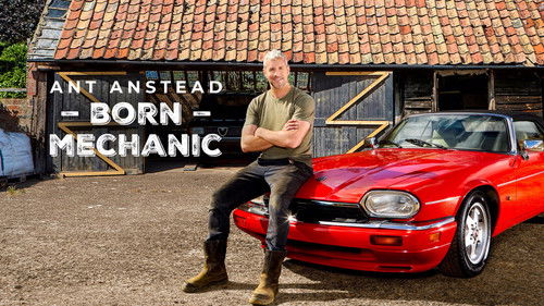 Ant Anstead: Born Mechanic Bild 4