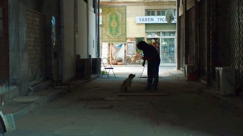 Smuggling Hendrix - Nicht ohne meinen Hund Bild 4