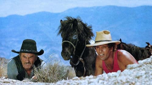 Stetson – Drei Halunken erster Klasse Bild 2