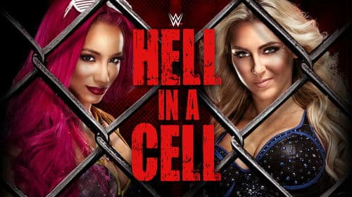 WWE Hell in a Cell 2016 Bild 2