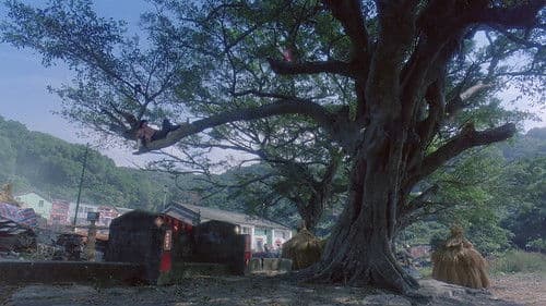 我愛扭紋柴 Bild 2