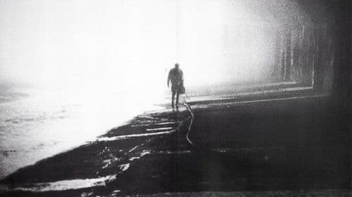 Die toten Fische Bild 2