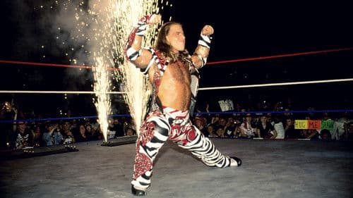 WWE One Night Only Bild 2