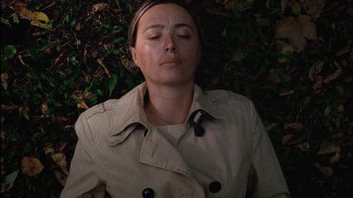 დასაწყისი Bild 1