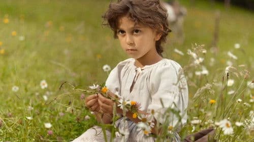 Die sieben Raben Bild 3