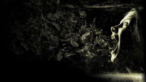 Possession - Das Dunkle in Dir Bild 3