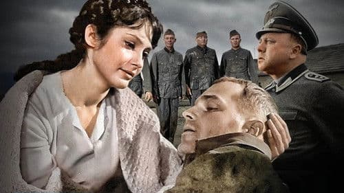 Strafbataillon 999 Bild 2