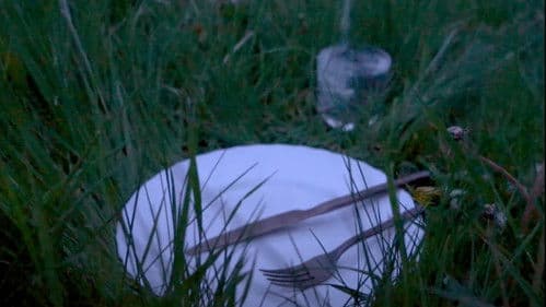 Woolgathering Bild 1