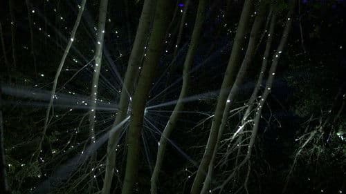 All Creatures Welcome Bild 6