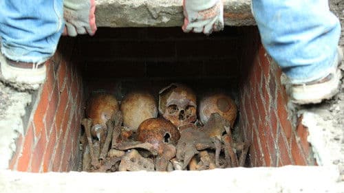 The Search for Alfred the Great Bild 4