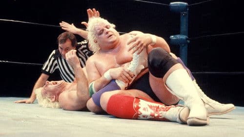 NWA Starrcade 1984 Bild 2