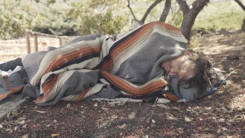 The Long Way Home Bild 2