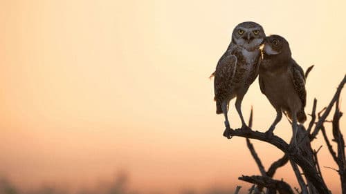 Super/Natural Bild 2